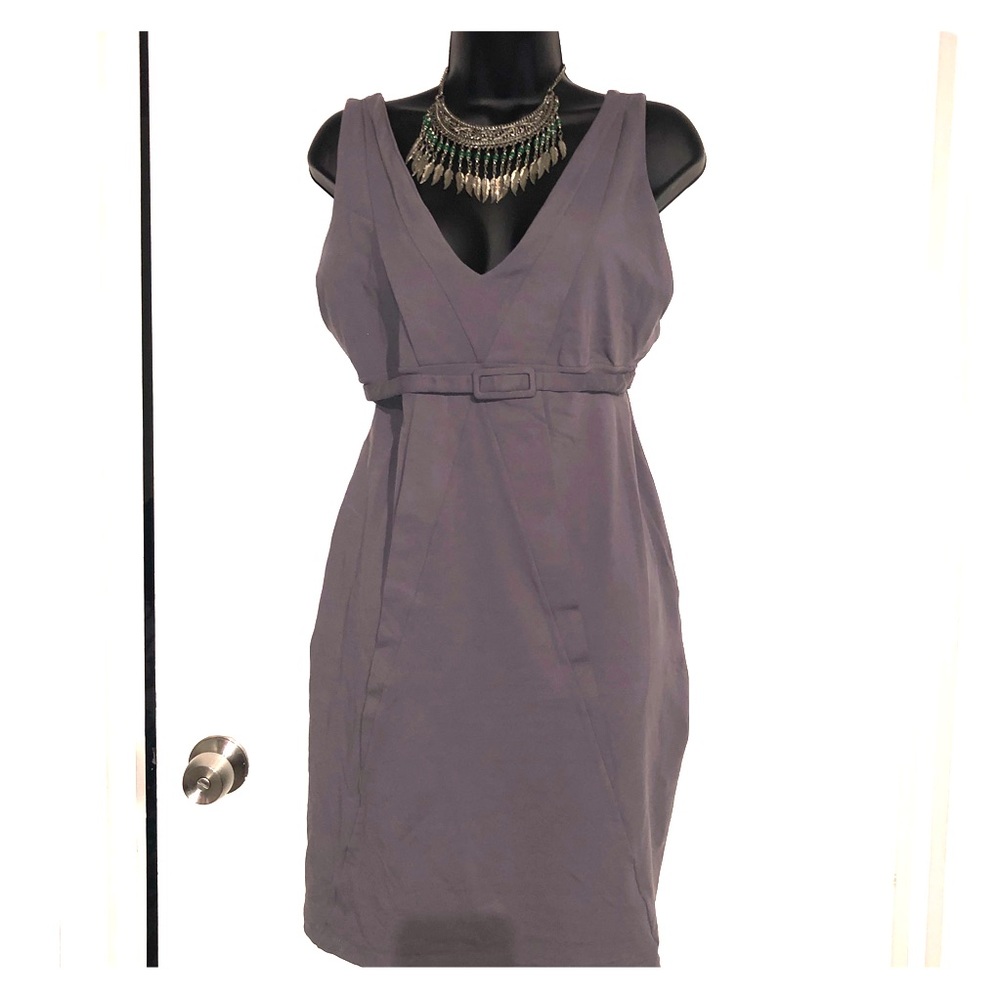 Susana Monaco short gray dress
